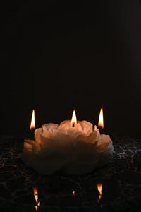 LARGE PEONY CANDLE
